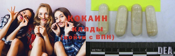 кокс Дмитровск