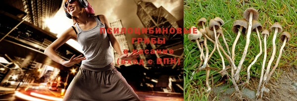 хмурый Дмитриев