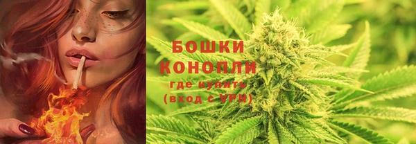хмурый Дмитриев