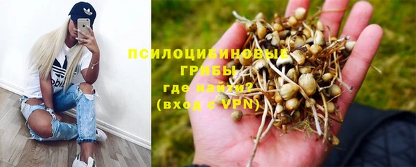 винт Гусев