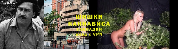 spice Дмитров