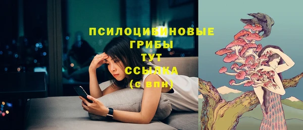 spice Дмитров