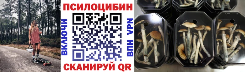 купить наркоту Салаир Псилоцибиновые грибы MAGIC MUSHROOMS